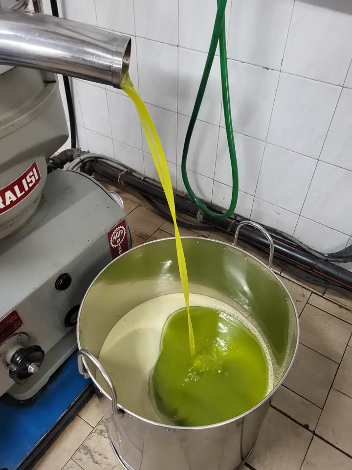 Un filet d’huile fraîche