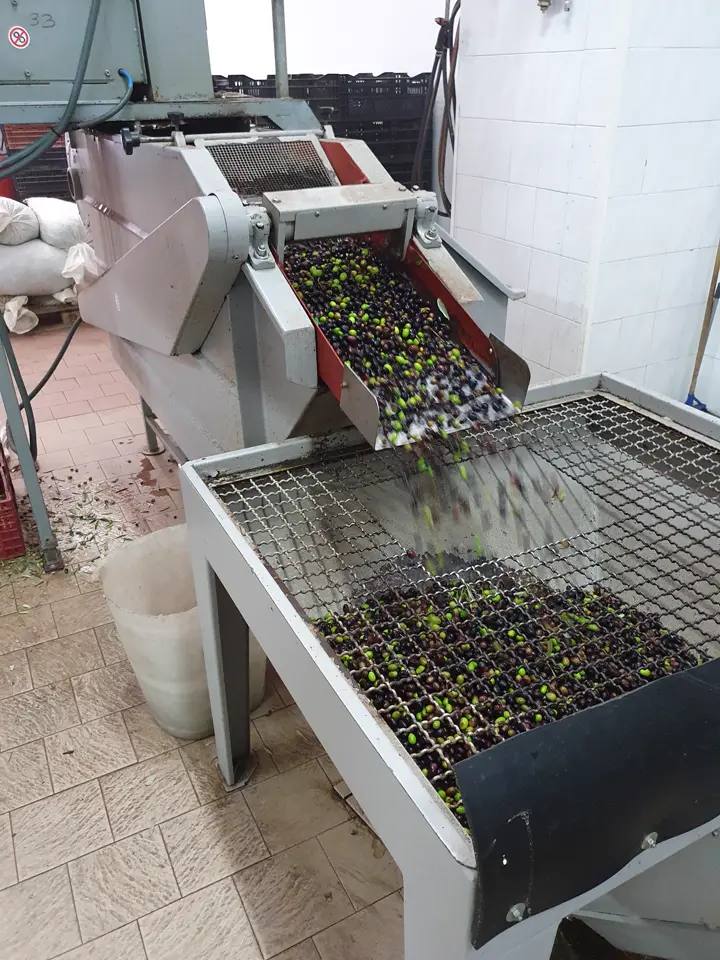 Olives sur la grille du laveur